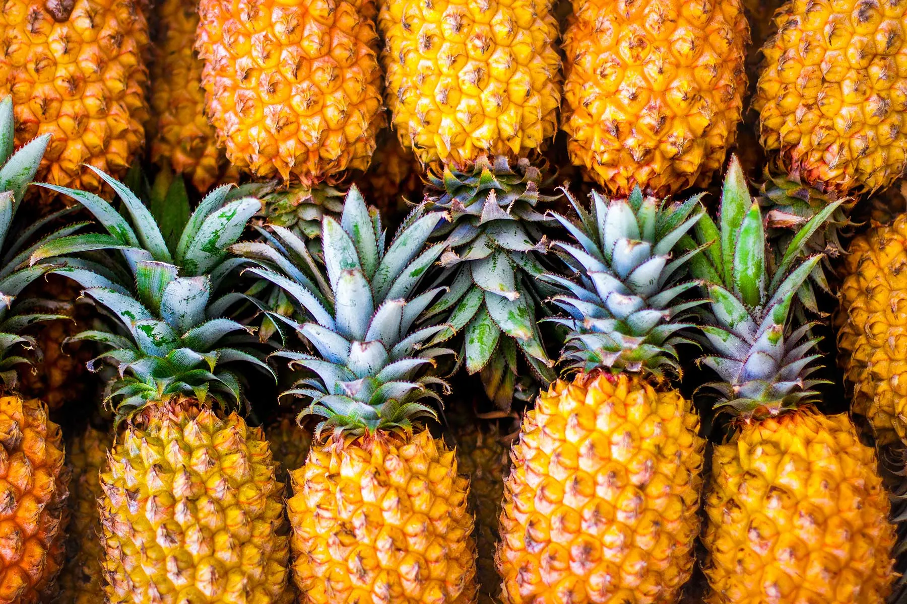 Fresh Pineapple mandi bhav and fruit price in Udaipur, Rajasthan